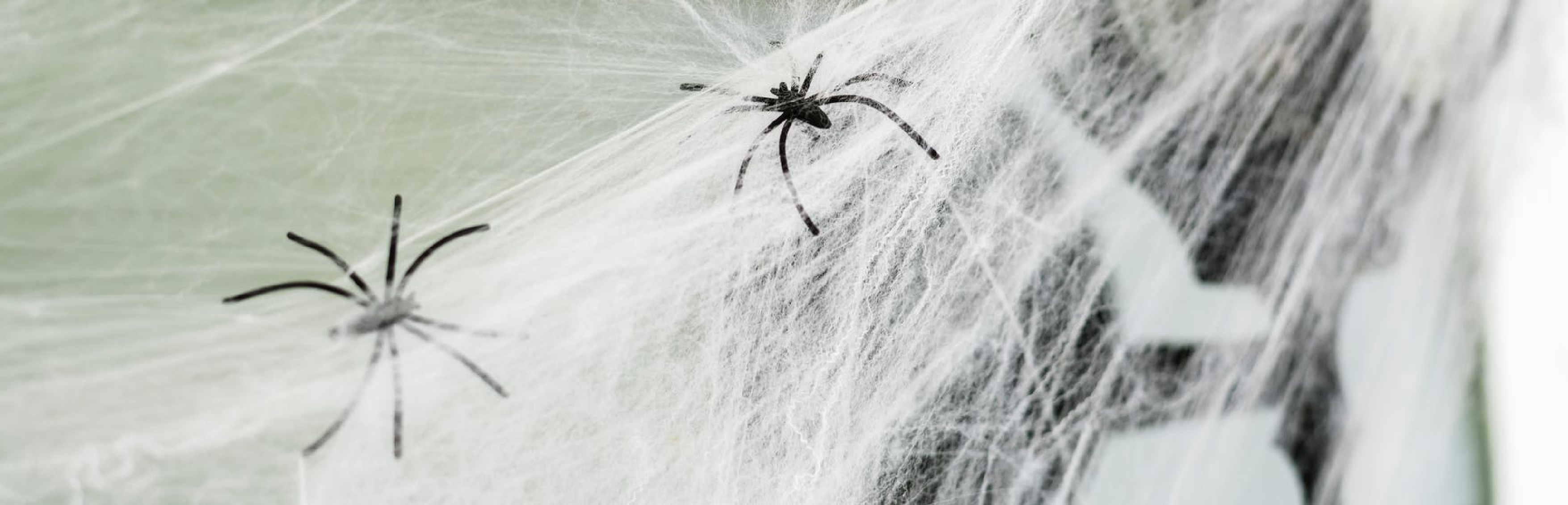Aranhas